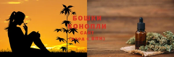 сатива Володарск