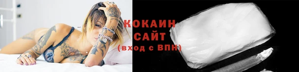 сатива Володарск