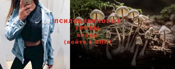 сатива Володарск