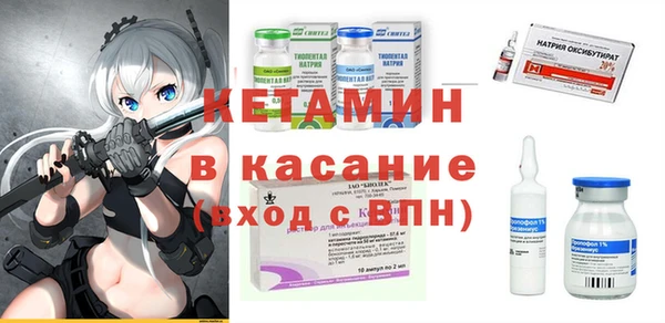 сатива Володарск