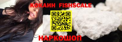 стафф Кингисепп
