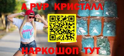 стафф Кингисепп