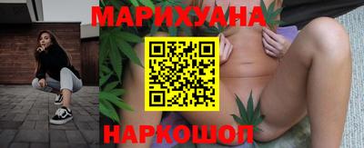 стафф Кингисепп