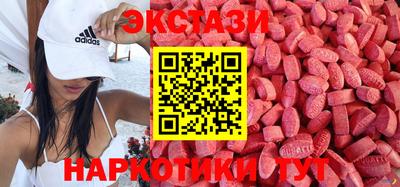 стафф Кингисепп