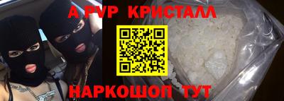 стафф Кингисепп