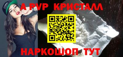 стафф Кингисепп