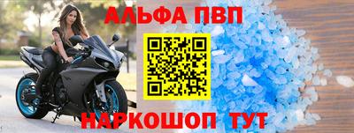 стафф Кингисепп