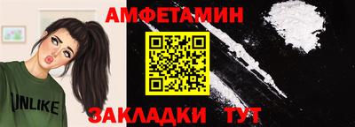 стафф Кингисепп