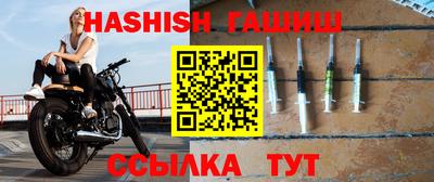 стафф Кингисепп
