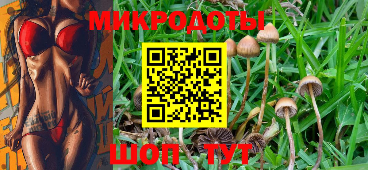 Псилоцибиновые грибы GOLDEN TEACHER Славянск-на-Кубани